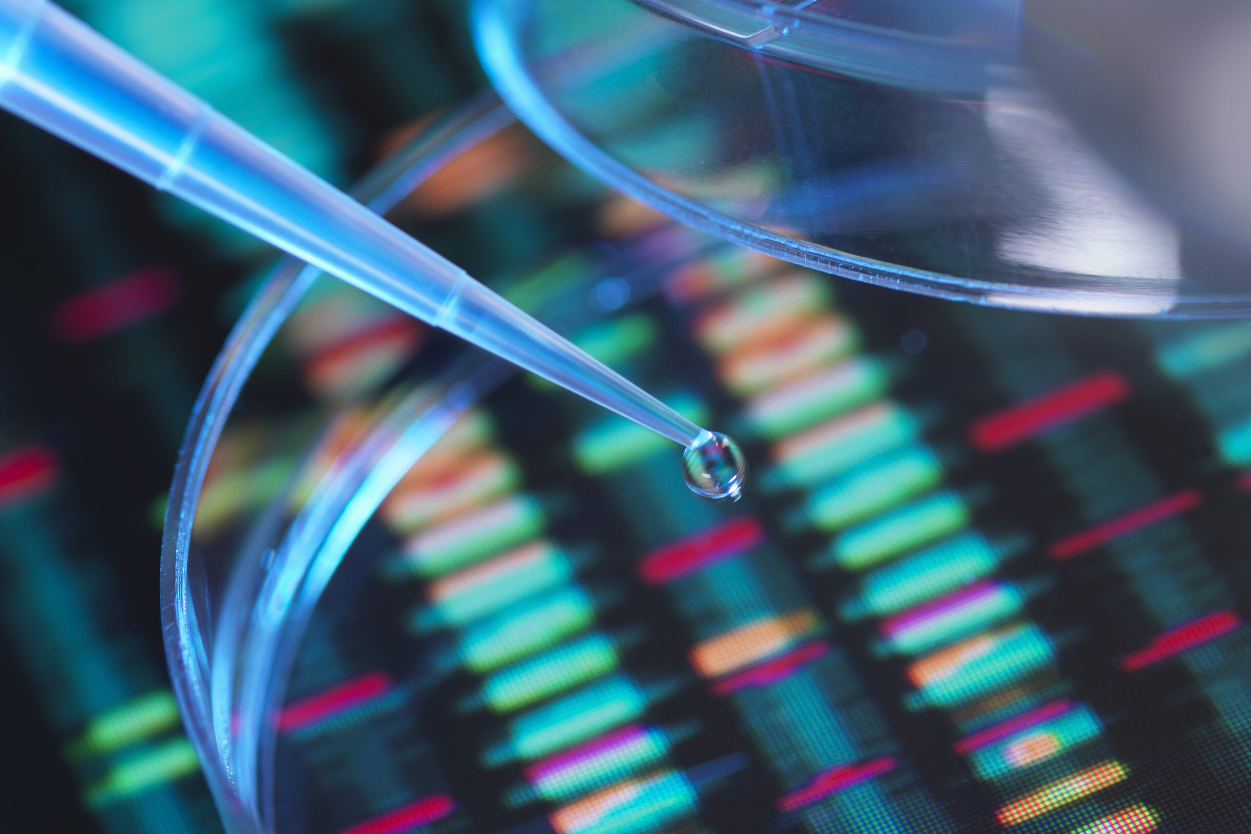 Genetic Research, A human sample being pipetted into a petri dish for genetic analysis sitting on DNA sequence